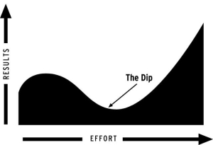 Bloom The Dip