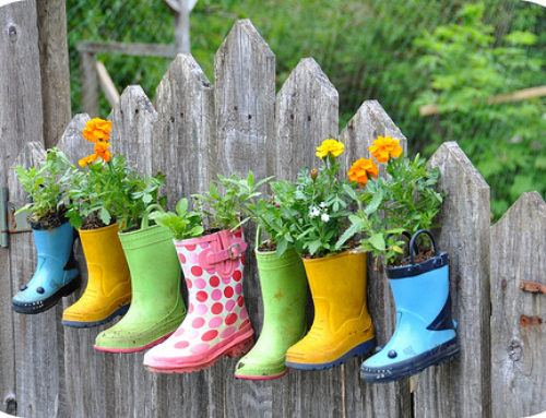 Cómo llenar tu oficina de plantas con maceteros originales