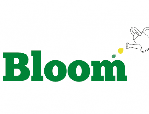 Bloom Marketing